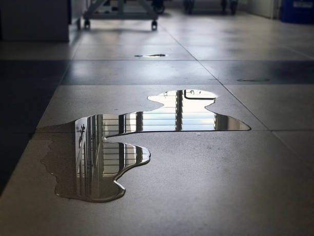 Best Water damage contractors near me  in Ballston Spa, NY